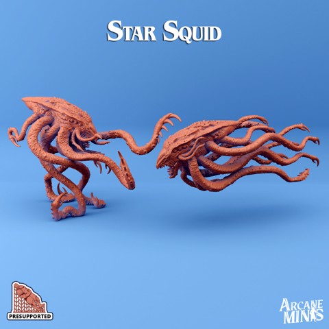 Image of Star Squid