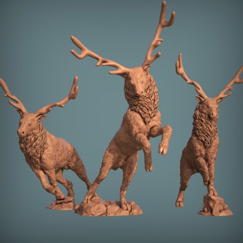 Image of Stags