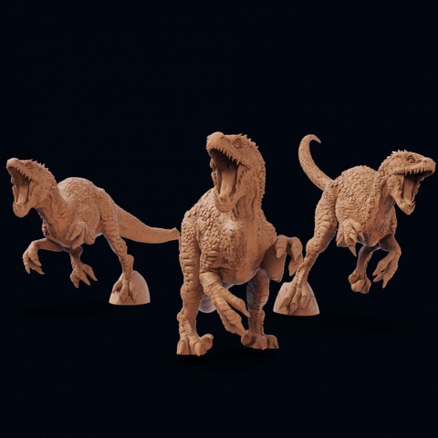 Image of Raptors