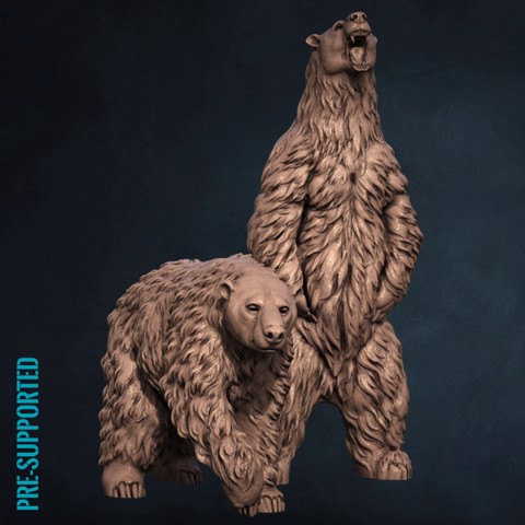 Image of Polar Bears