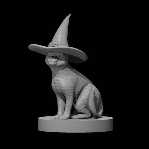 Image of Cat with a Witch Hat
