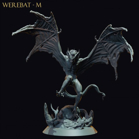 Image of Werebat