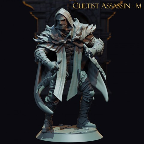 Image of Cultist Assassin
