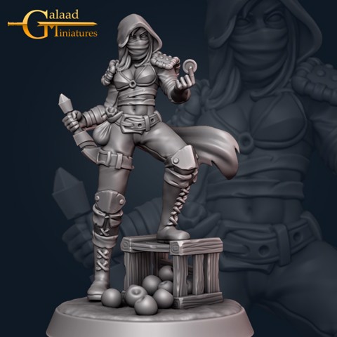 Image of Nadia the tax collector - November release rogues