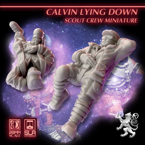 Image of Calvin Lying Down