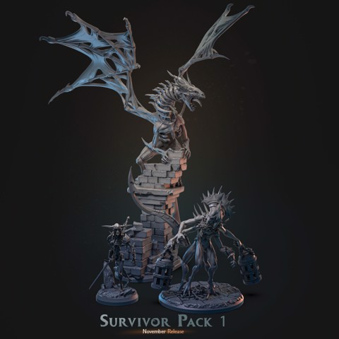 Image of November 2022 - Survivor Pack 1'