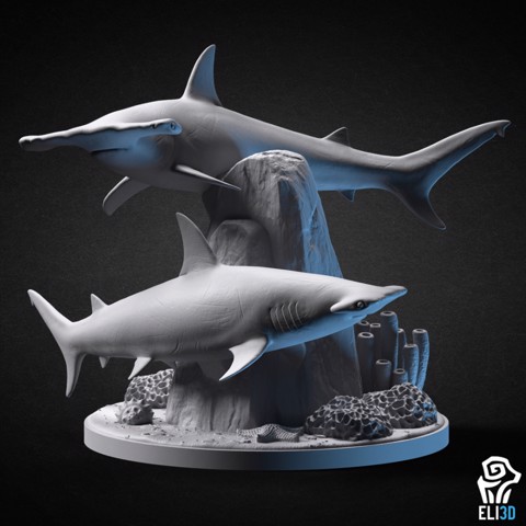 Image of Hammerhead Shark Diorama - Animal
