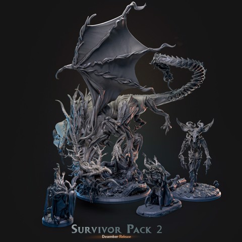Image of December 2022 - Survivor Pack 2'