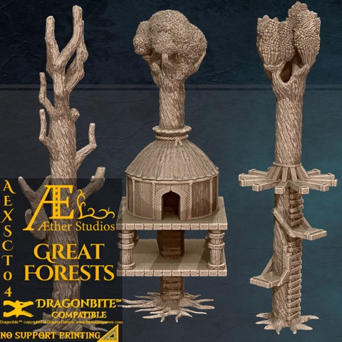 Image of AEXSCT04 - Great Forests