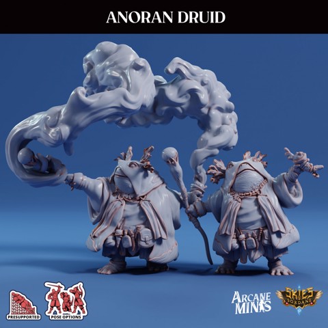 Image of Anoran Druid