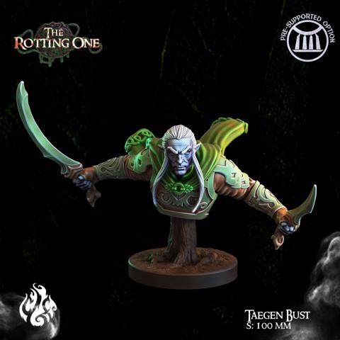 Image of Taegen, Elf Ranger, Bust Version