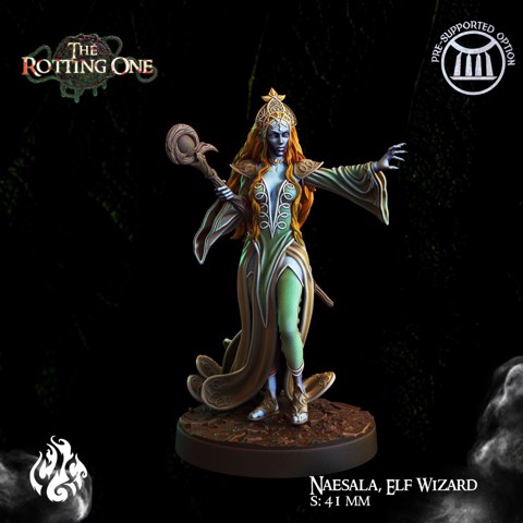 Image of Naesala, Elf Wizard