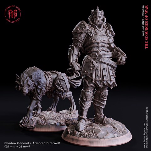 Image of Shadow General + Armored Dire Wolf