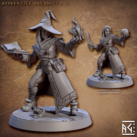 Image of Apprentice Arcanist - D (Arcanist's Guild)