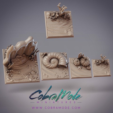 Image of Seashells Square Base Pack 4pcs (Supportless)