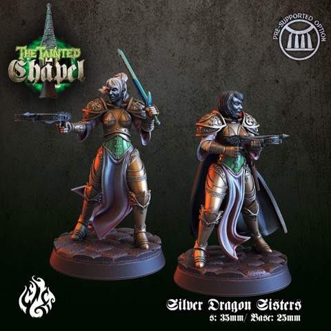 Image of Silver Dragon Sisters