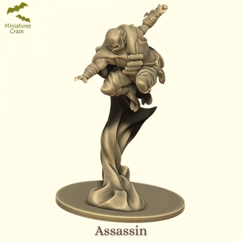 Image of Assassin / Mercenary