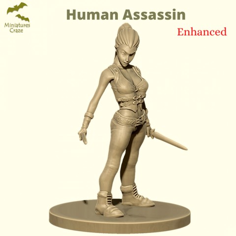 Image of Female Assassin
