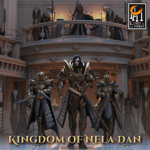 Image of Release : Kingdom of Nela Dan