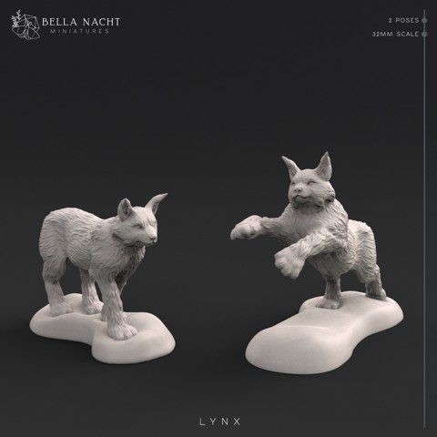 Image of Lynxes | 32mm | 2 Poses