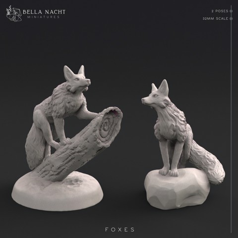 Image of Foxes | 32mm | 2 Poses