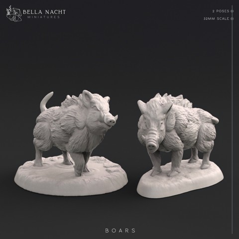 Image of Boars | 32mm | 2 Poses