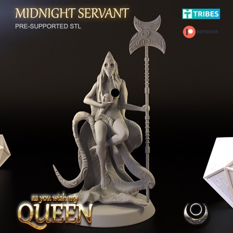 Image of Midnight Servant