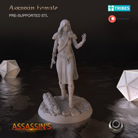Image of Assassin Female
