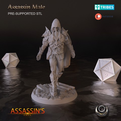 Image of Assassin Male