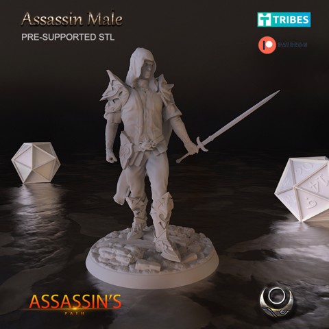 Image of Assassin Male