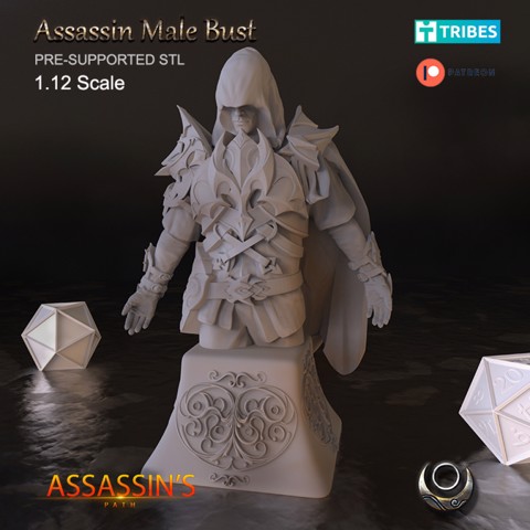 Image of Assassin Male Bust