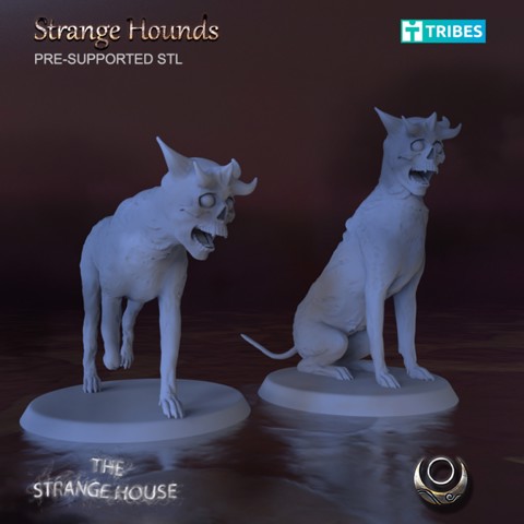Image of The Strange Hounds