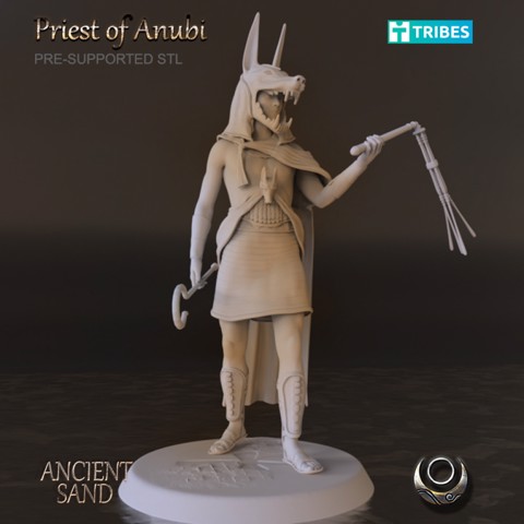 Image of Priest of Anubi