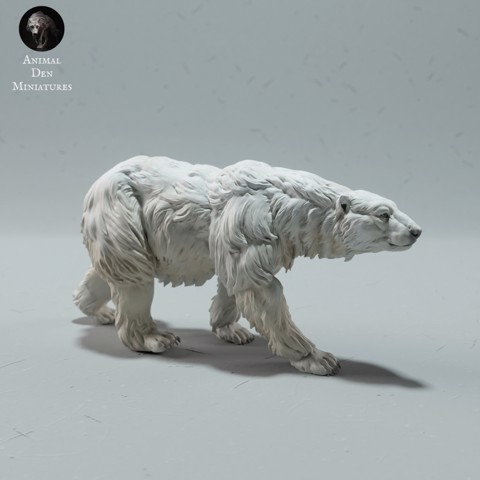 Image of Polar Bear Walking
