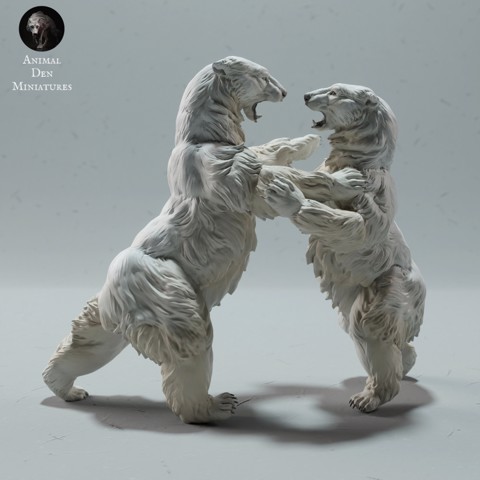 Image of Polar Bears Fighting