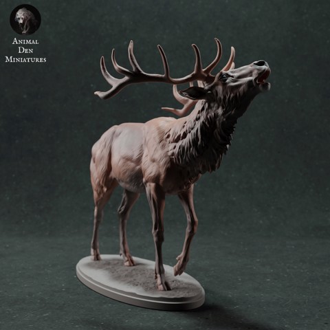 Image of Red Deer Stag Call