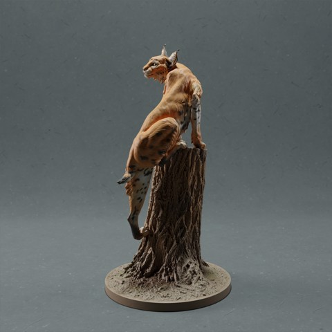 Image of Bobcat / Lynx - on tree