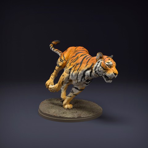Image of Bengal Tiger Run