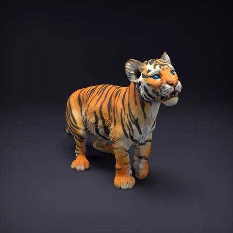 Image of Bengal Tiger Cub