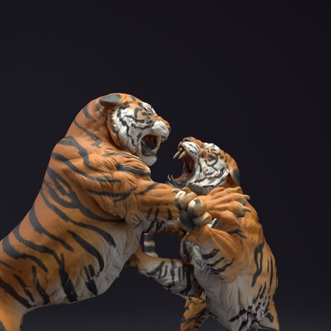 Image of Bengal Tiger Fight