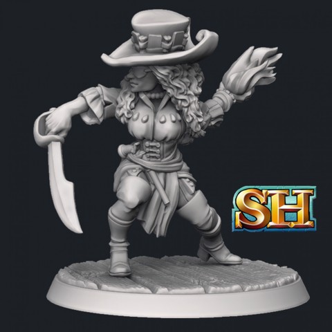 Image of Swashbuckler Wizard [pre-supported]