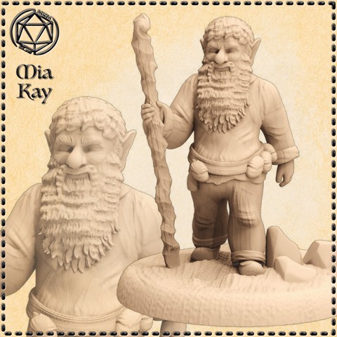 Image of Forest Gnome