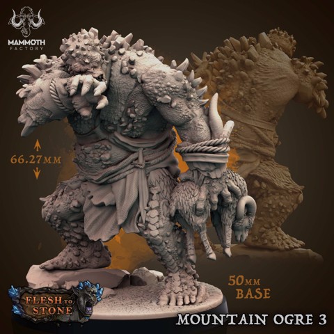 Image of Mountain Ogre 3