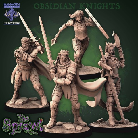 Image of Obsidian Knights Pack