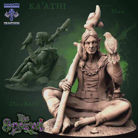 Image of Ka'athi the Archdruid