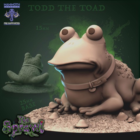Image of Todd the Toad