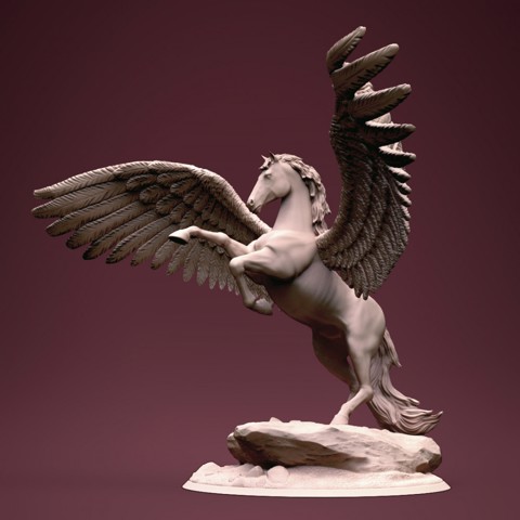 Image of Pegasus 2