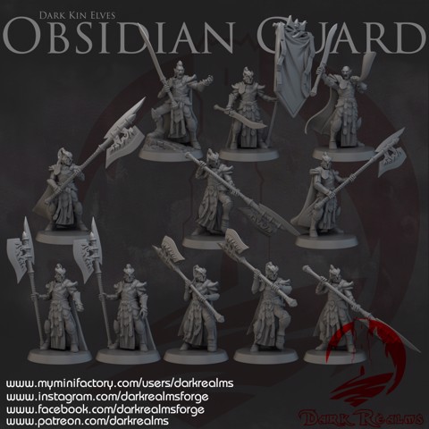 Image of Dark Realms - Dark Kin Elves - Obsidian Guard