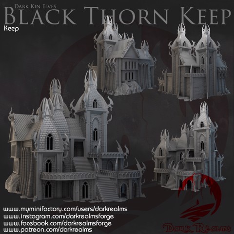 Image of Dark Realms - Dark Kin Elves - Black Thorn Keep