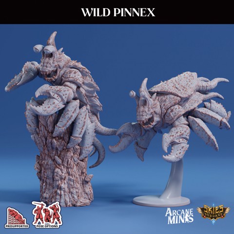 Image of Wild Pinnex